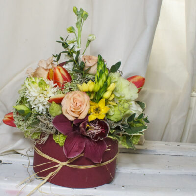 cutie cu cymbidium rosu