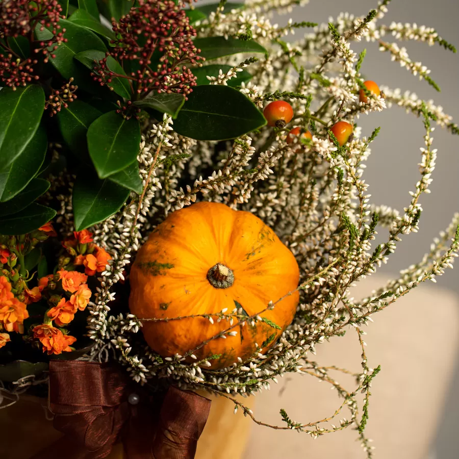 Aranjament de toamna cu plante