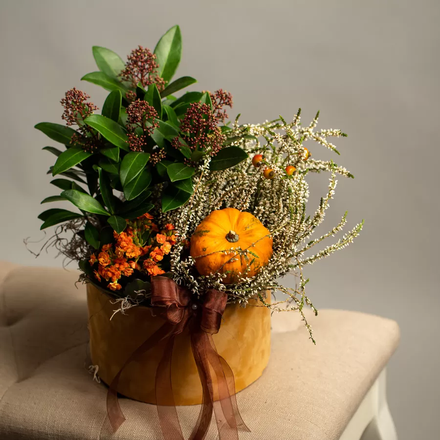 Aranjament de toamna cu plante