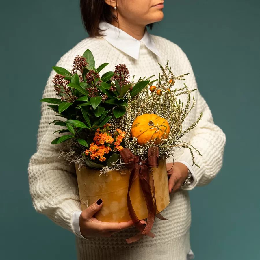 Aranjament de toamna cu plante