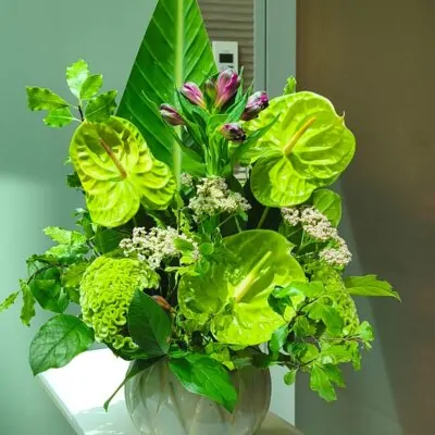Aranjament floral verde cu anthurium pentru receptie