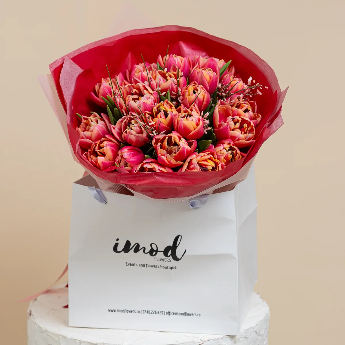 Buchet 25 lalele Columbus-1