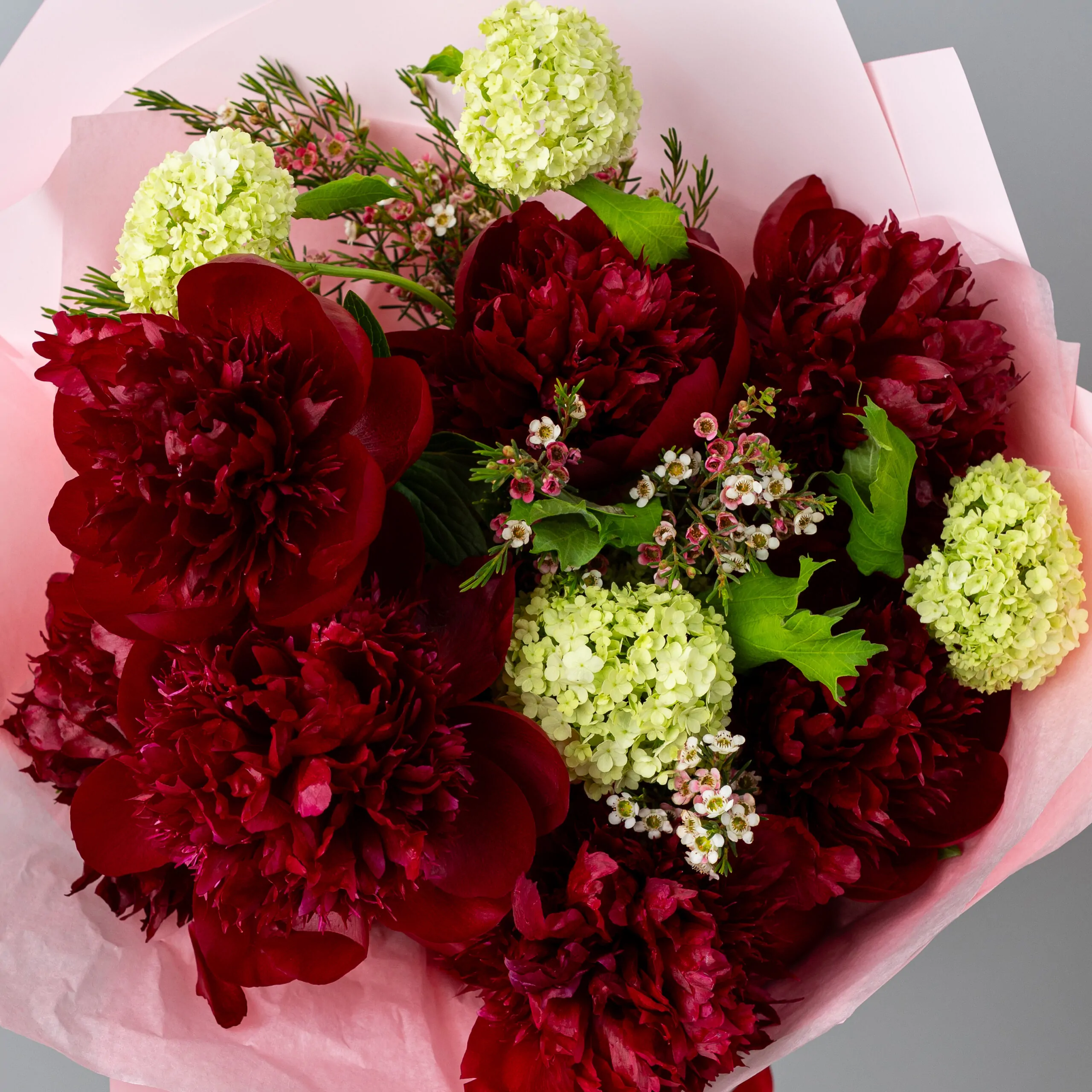 Buchet cu bujori bordo si viburnum verde-2