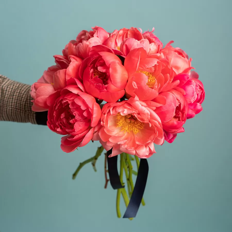 Buchet personalizat bujori corai