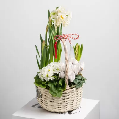 cos cu plante de primavara