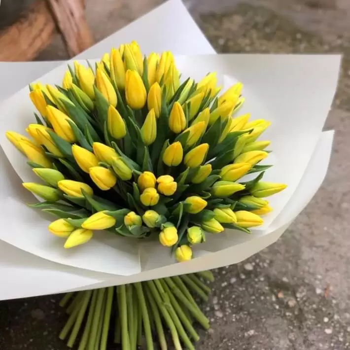 buchet cu 100 lalele galbene 1