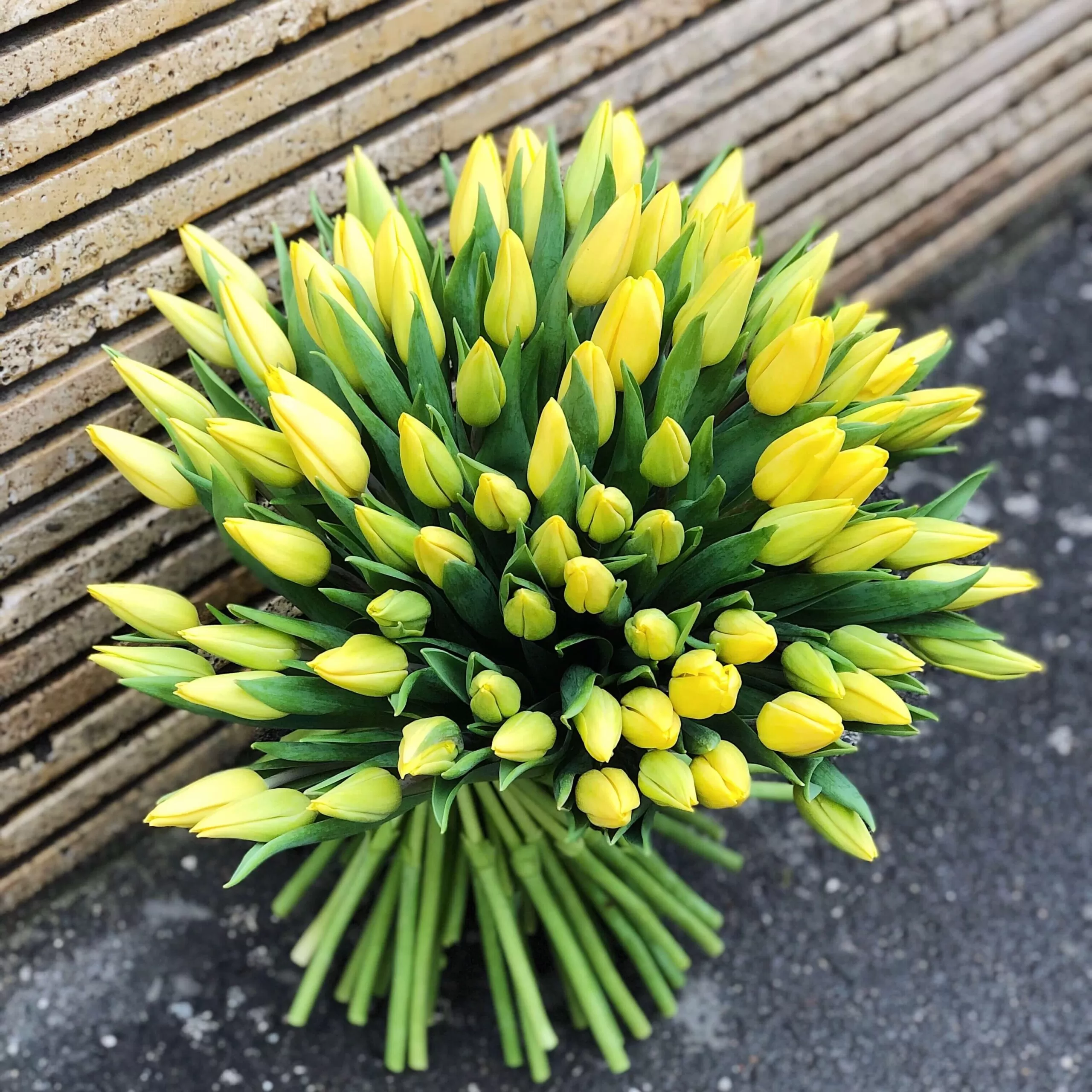 buchet cu 100 lalele galbene