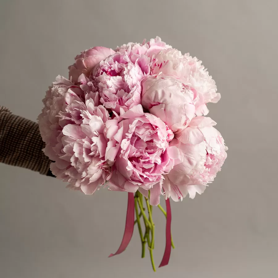 Buchet cu 11 bujori roz pal