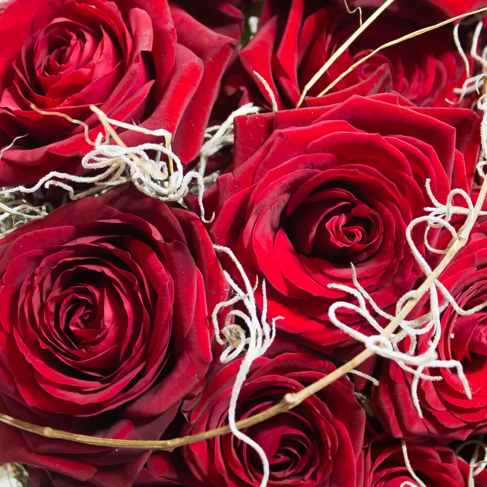 buchet de 19 trandafiri rosii 2