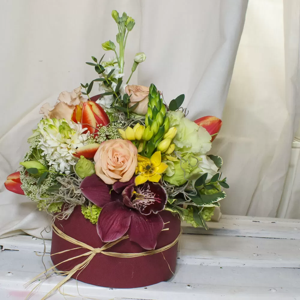 cutie cu cymbidium rosu